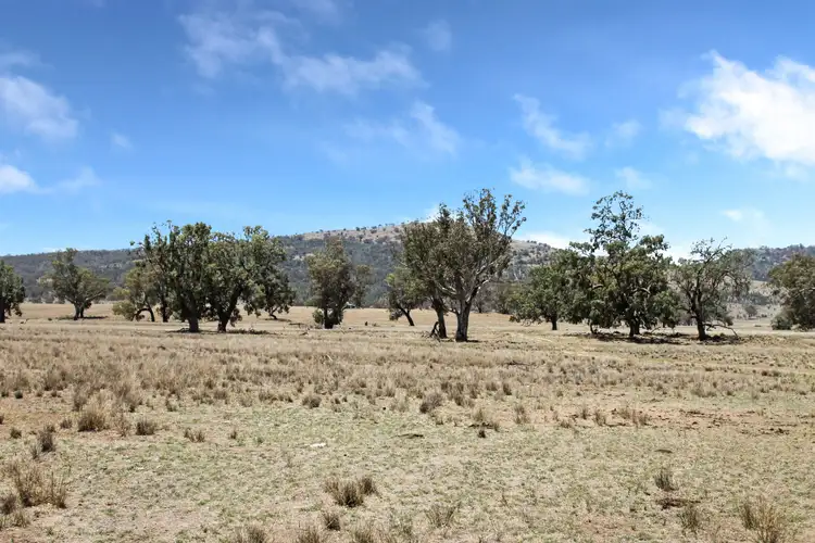 Fifth view of Homely rural property listing, 237 Porters Lane, Quirindi NSW 2343