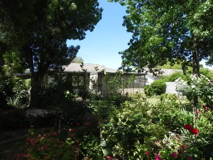 Fifth view of Homely house listing, 53 Willandra Avenue, Griffith NSW 2680