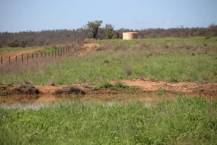 Seventh view of Homely rural property listing, 260 Royal Oak Road, Bingara NSW 2404