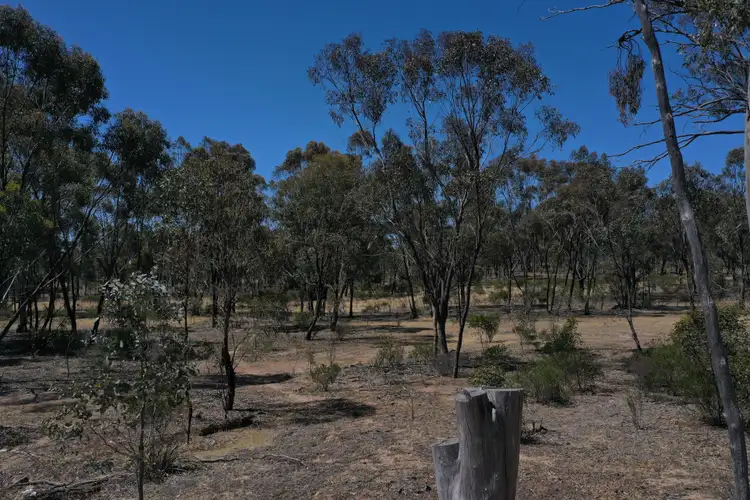 Second view of Homely rural property listing, Lot 1 St Arnaud - Wycheproof Road, St Arnaud VIC 3478