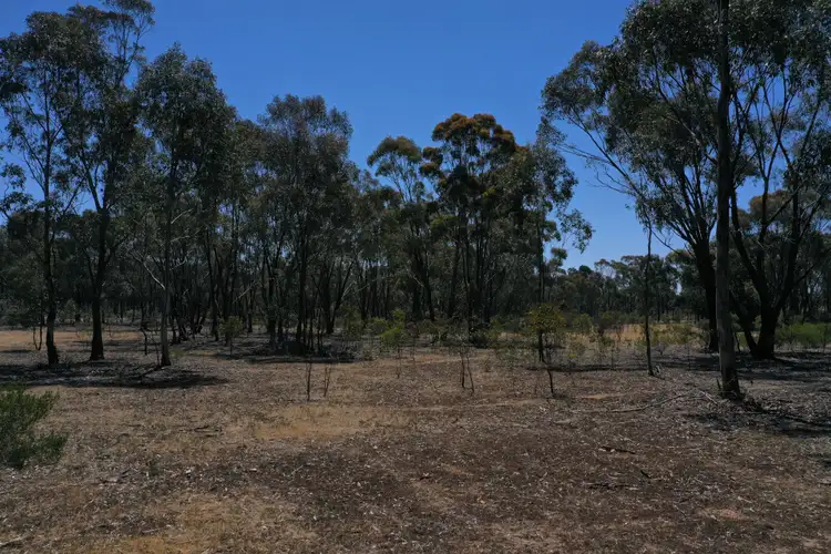 Fourth view of Homely rural property listing, Lot 1 St Arnaud - Wycheproof Road, St Arnaud VIC 3478