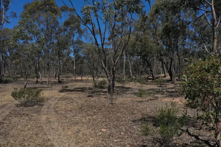 Fifth view of Homely rural property listing, Lot 1 St Arnaud - Wycheproof Road, St Arnaud VIC 3478