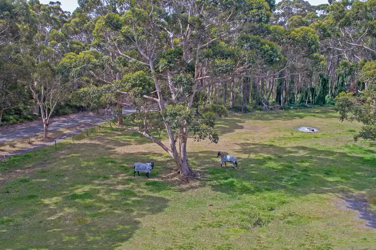 Fifth view of Homely house listing, 17 Symers Street, Little Grove WA 6330