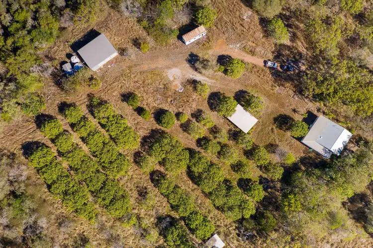 Second view of Homely house listing, 1130 Calliope River Road, West Stowe QLD 4680
