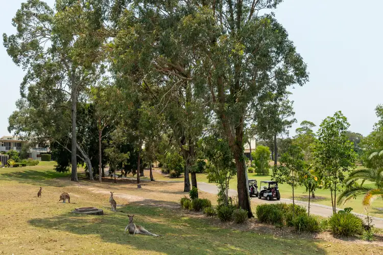 Fourth view of Homely house listing, 5220 Bay Hill Terrace, Sanctuary Cove QLD 4212