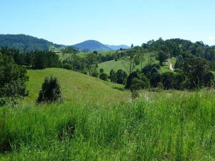 Sixth view of Homely rural property listing, 2 Possumwood Close, Tyalgum NSW 2484