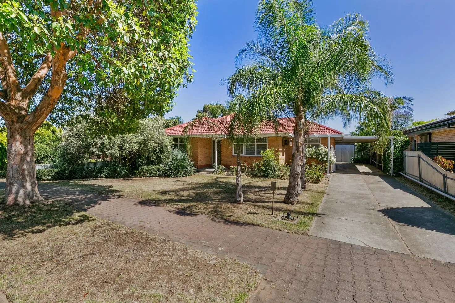 Main view of Homely house listing, 8 Birch Grove, Dernancourt SA 5075
