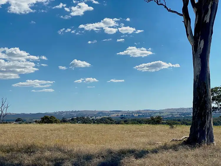 Fifth view of Homely rural property listing, Lot 124, 1488 Mutton Falls Road, O'connell NSW 2795