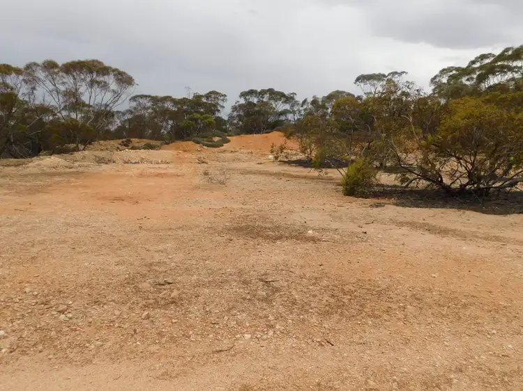 Main view of Homely rural property listing, Sec 35 Racecourse Road, Halidon SA 5309