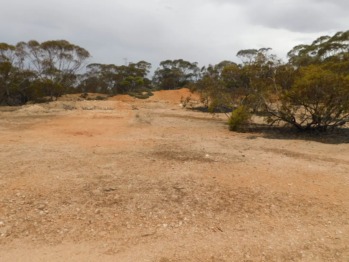 Main view of Homely rural property listing, Sec 35 Racecourse Road, Halidon SA 5309