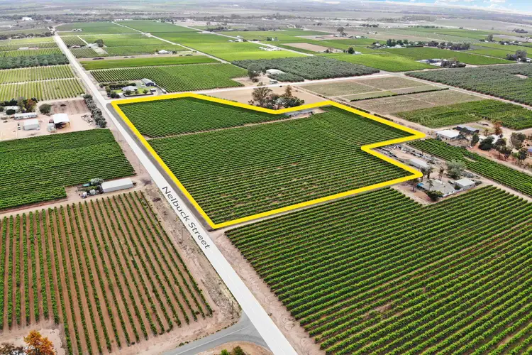 Lot 38 Nelbuck Street, Renmark North SA 5341