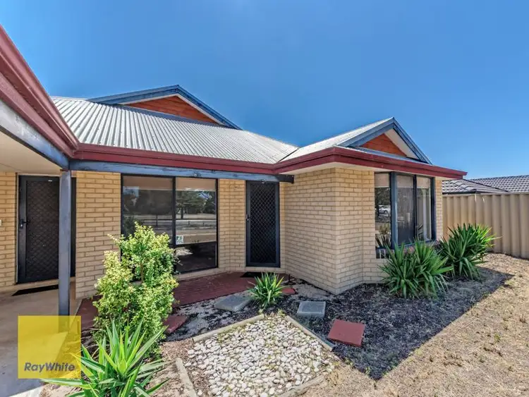19 Eversden Crescent, Butler WA 6036