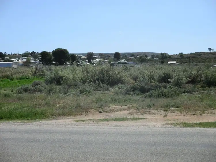 Fifth view of Homely land listing, 335 Duff Street Street, Broken Hill NSW 2880