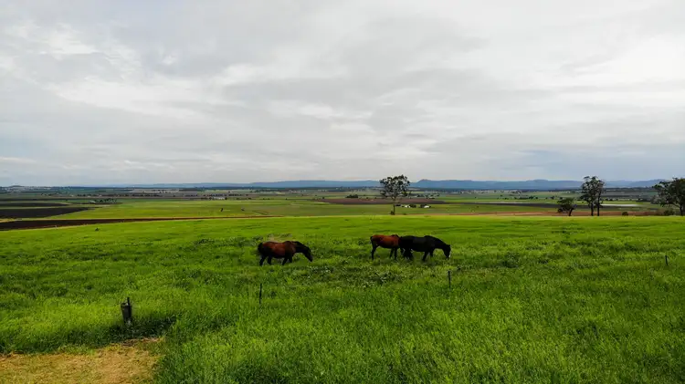 Seventh view of Homely house listing, 1424 Junabee Road, Junabee QLD 4370