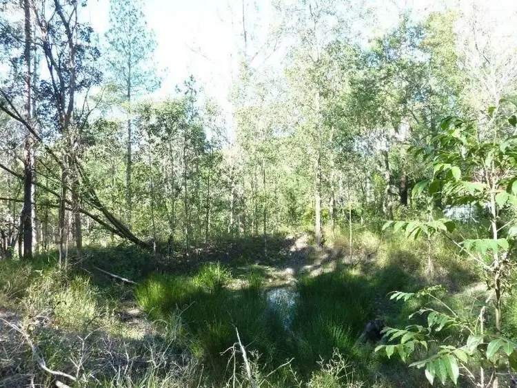 Fifth view of Homely house listing, 1915 Old Gympie Road, Glass House Mountains QLD 4518