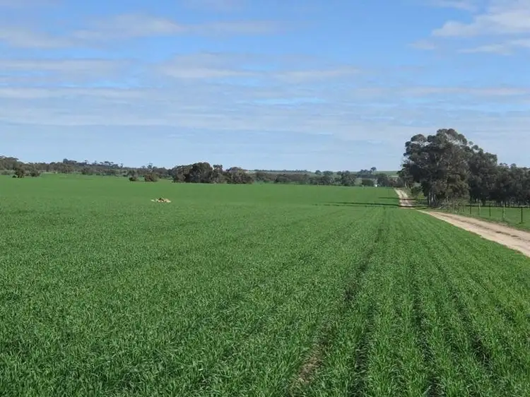 Goldsmiths Wickepin-Pingelly Road, Pingelly WA 6308