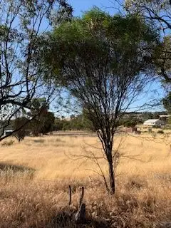 Main view of Homely land listing, 175 Narrogin Road, Williams WA 6391