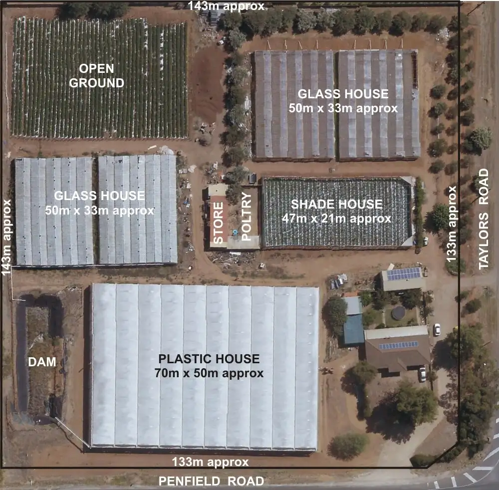 Main view of Homely house listing, 460 Taylors Road, Virginia SA 5120