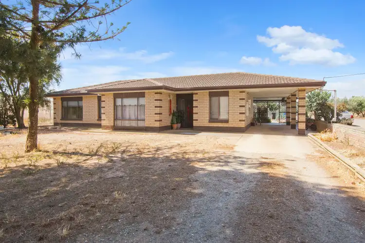 Second view of Homely house listing, 460 Taylors Road, Virginia SA 5120