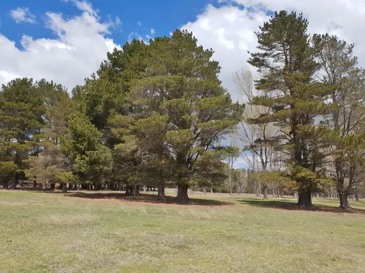Sixth view of Homely rural property listing, 1840 Cooma Road, Bendoura, Braidwood NSW 2622