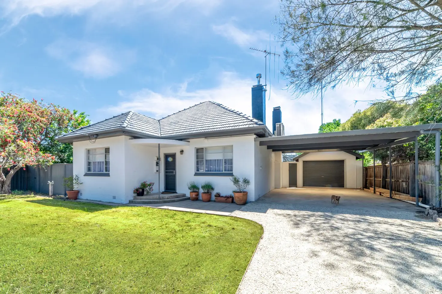 Main view of Homely house listing, 54 Playne Street, Heathcote VIC 3523