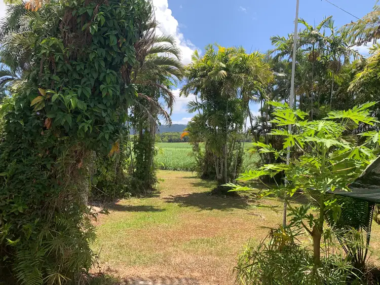Second view of Homely house listing, 49 McDowall Lane, Daintree QLD 4873