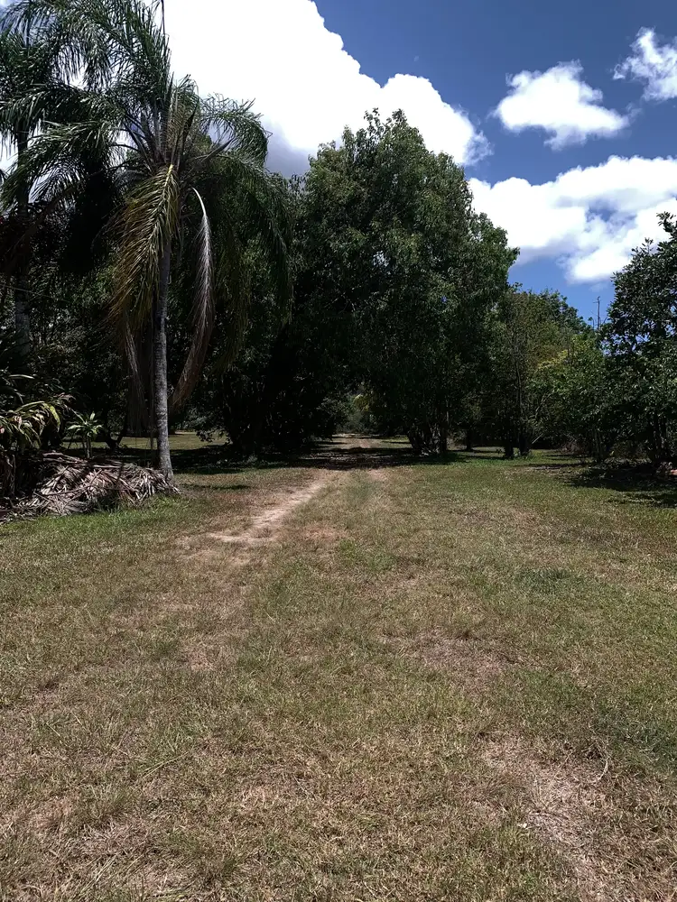 Third view of Homely house listing, 49 McDowall Lane, Daintree QLD 4873