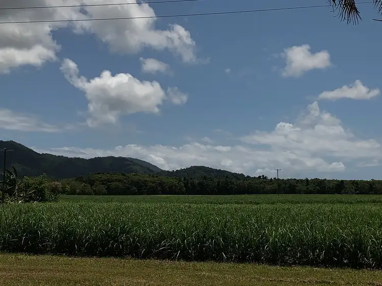 Fourth view of Homely house listing, 49 McDowall Lane, Daintree QLD 4873