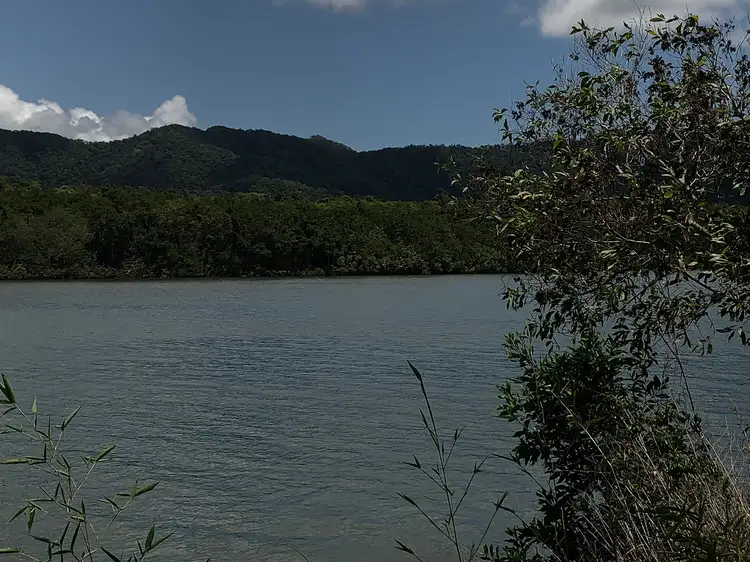 Seventh view of Homely house listing, 49 McDowall Lane, Daintree QLD 4873