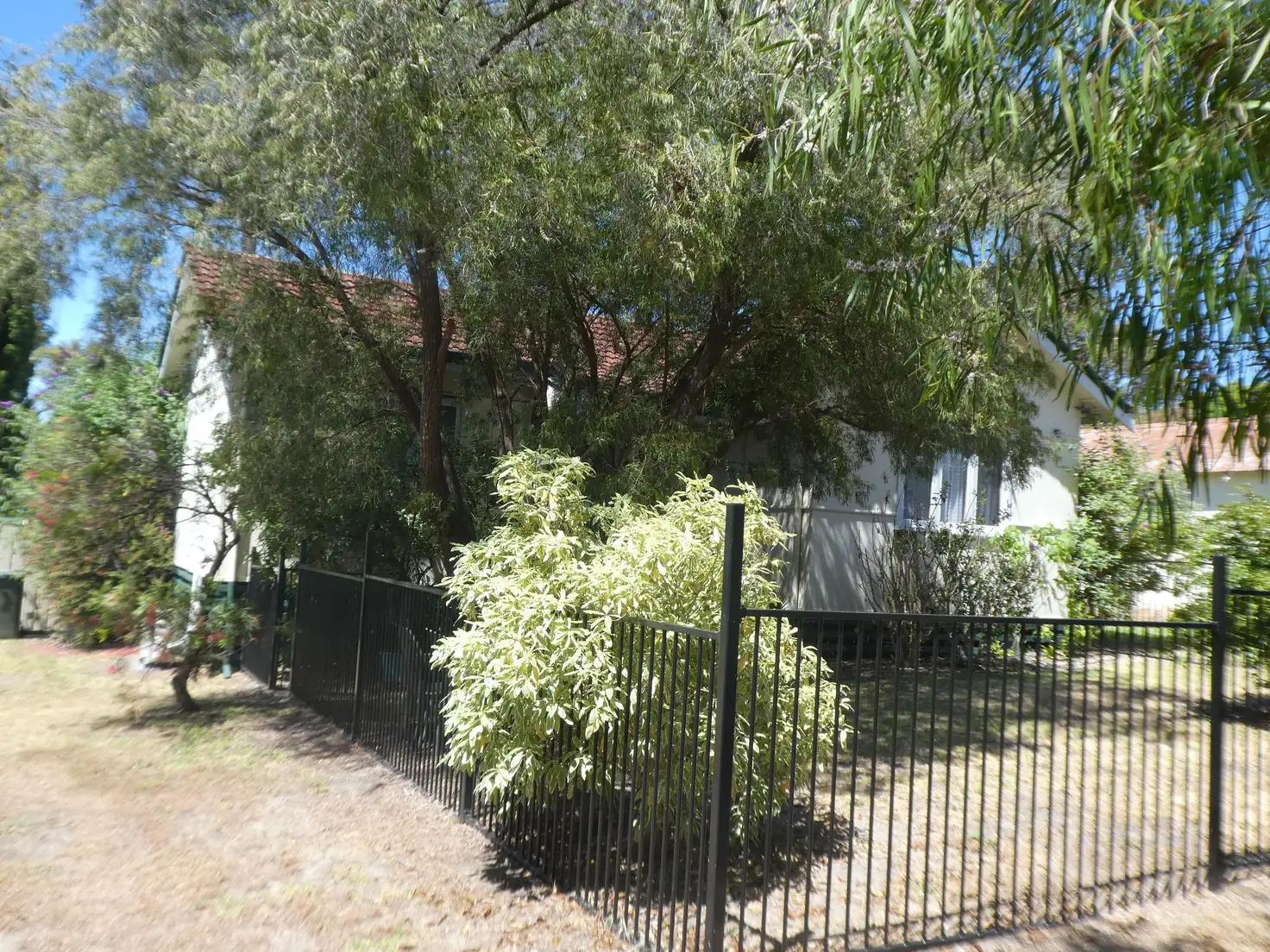 Main view of Homely house listing, 48 Ormond Road, Mount Barker WA 6324