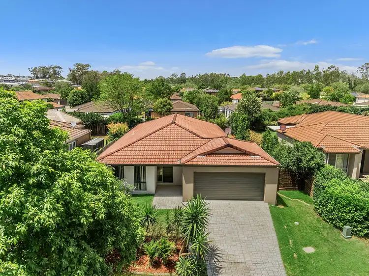 49 Macaranga Crescent, Carseldine QLD 4034