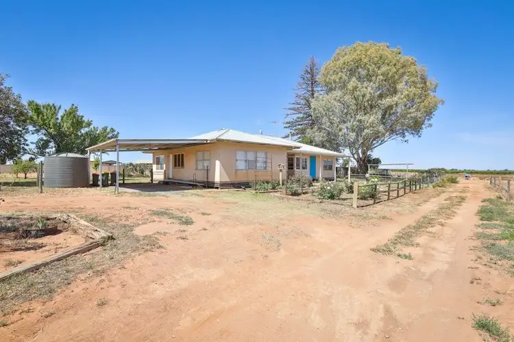 36 Quandong Avenue, Merbein VIC 3505