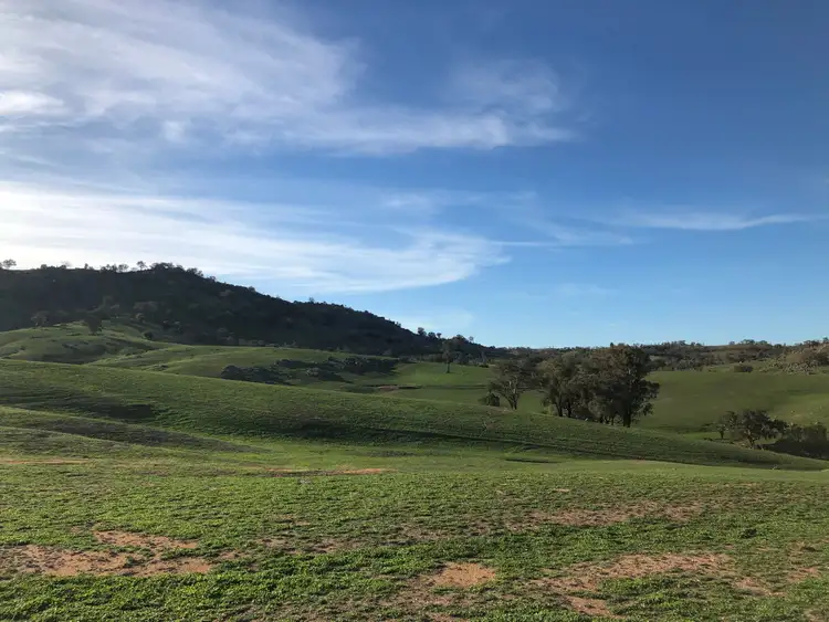 Fourth view of Homely rural property listing, Willow Burn' Darbys Falls Road, Darbys Falls NSW 2793
