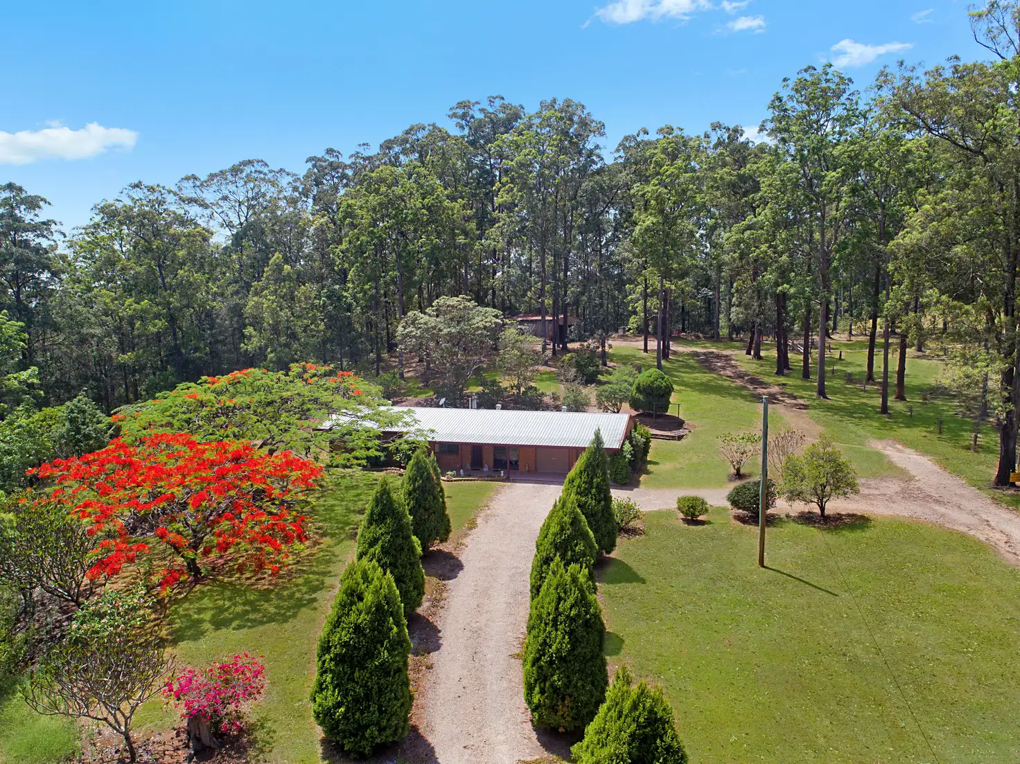 Main view of Homely rural property listing, 509 Zara Road, Limpinwood NSW 2484