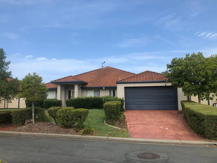 Main view of Homely house listing, 67/19 Yaun Street, Coomera QLD 4209
