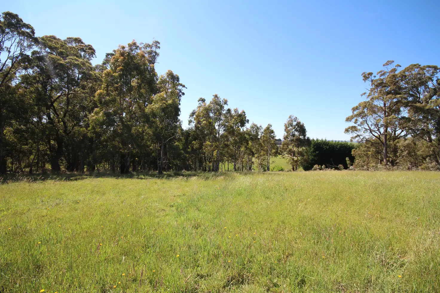 Main view of Homely land listing, 31 Marks Crescent, Oberon NSW 2787