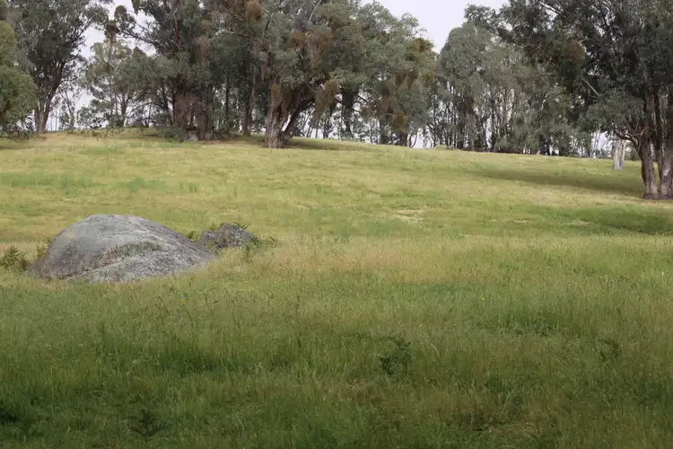 Third view of Homely rural property listing, 1126 Munderoo Road, Munderoo NSW 2653