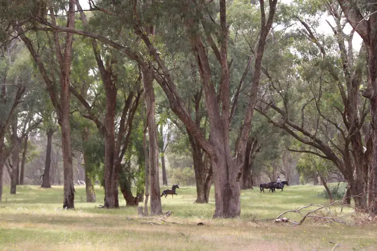 Fourth view of Homely rural property listing, 1126 Munderoo Road, Munderoo NSW 2653