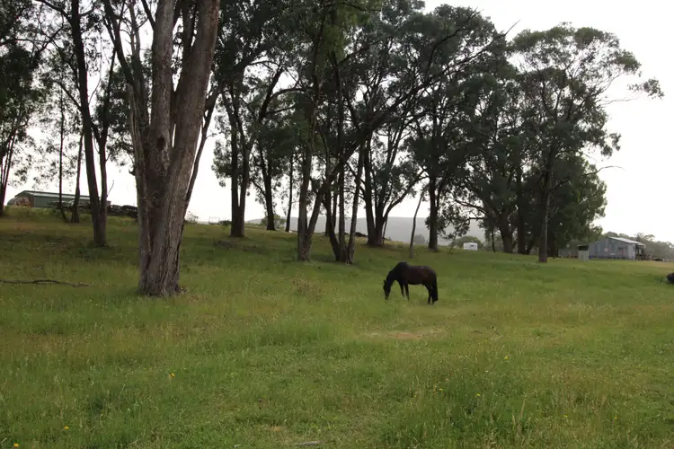 Fifth view of Homely rural property listing, 1126 Munderoo Road, Munderoo NSW 2653