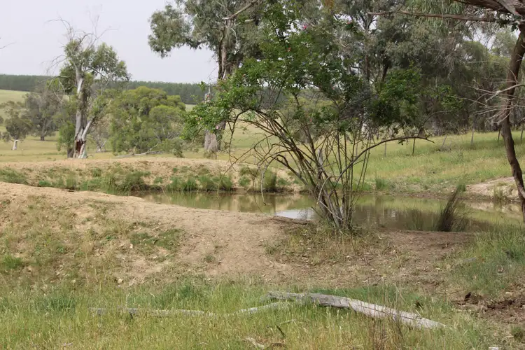 Sixth view of Homely rural property listing, 1126 Munderoo Road, Munderoo NSW 2653