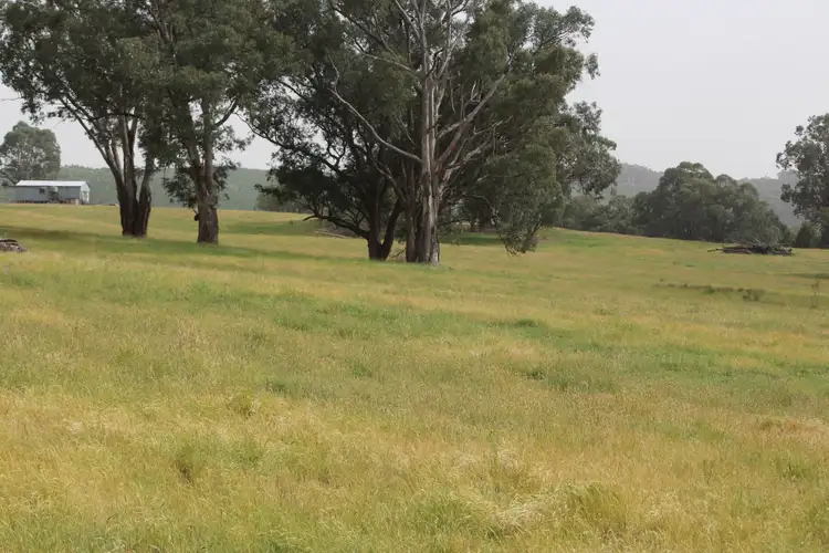 Seventh view of Homely rural property listing, 1126 Munderoo Road, Munderoo NSW 2653