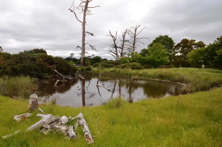 Fifth view of Homely rural property listing, CA13 Keams Lane, Yendon VIC 3352