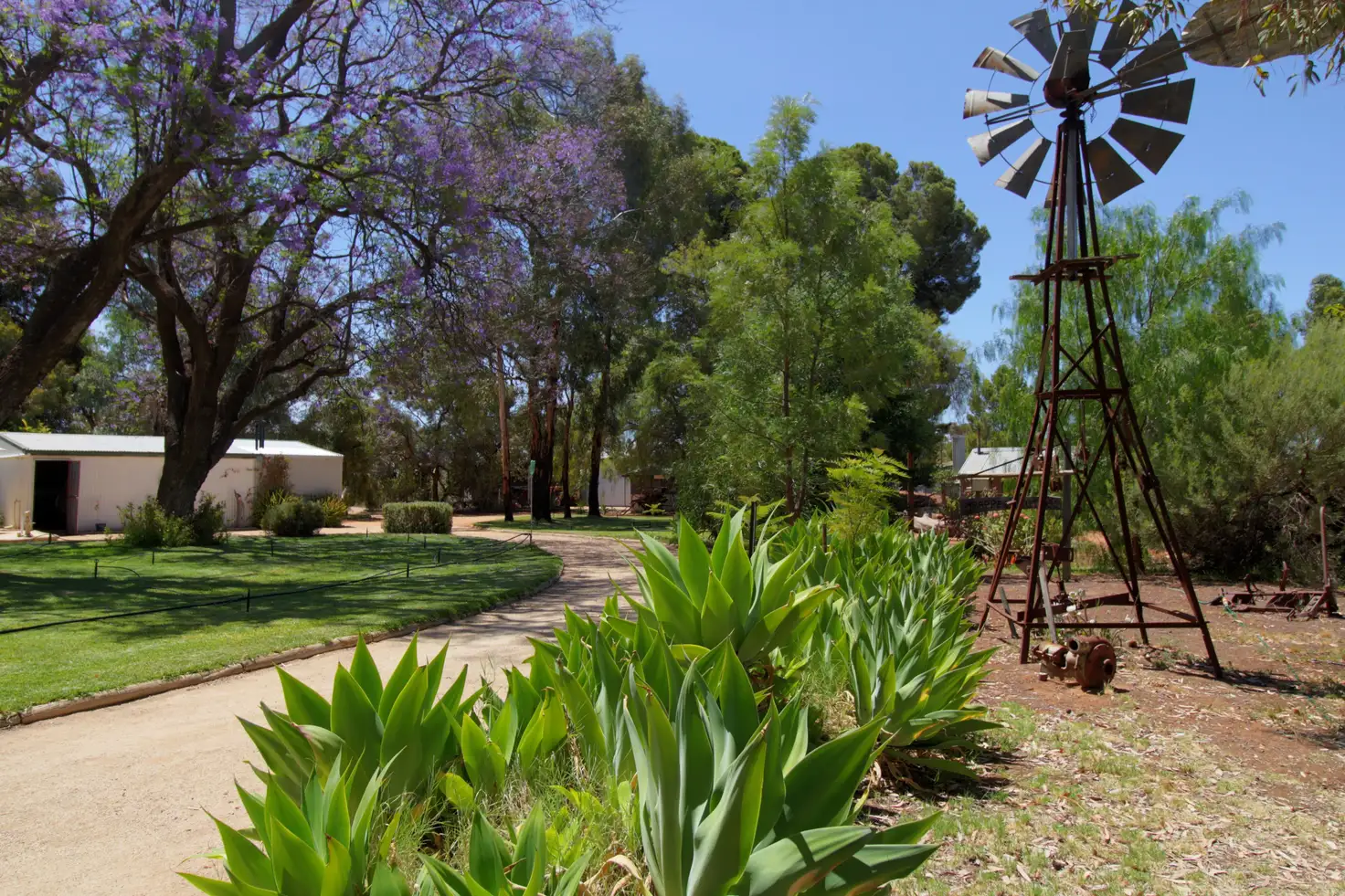 Main view of Homely house listing, 888 Thiele Road, Loveday SA 5345