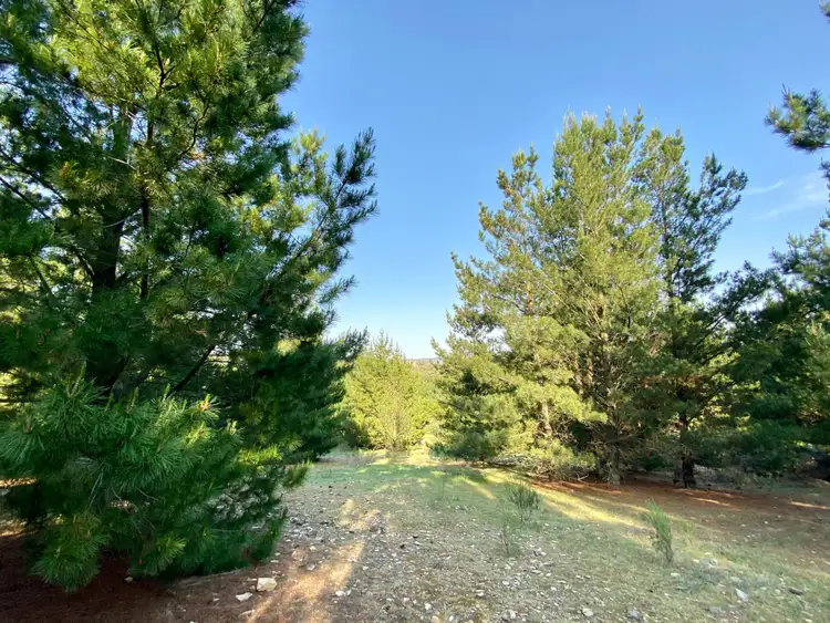 Sixth view of Homely rural property listing, 850 O'Connell Road, Oberon NSW 2787