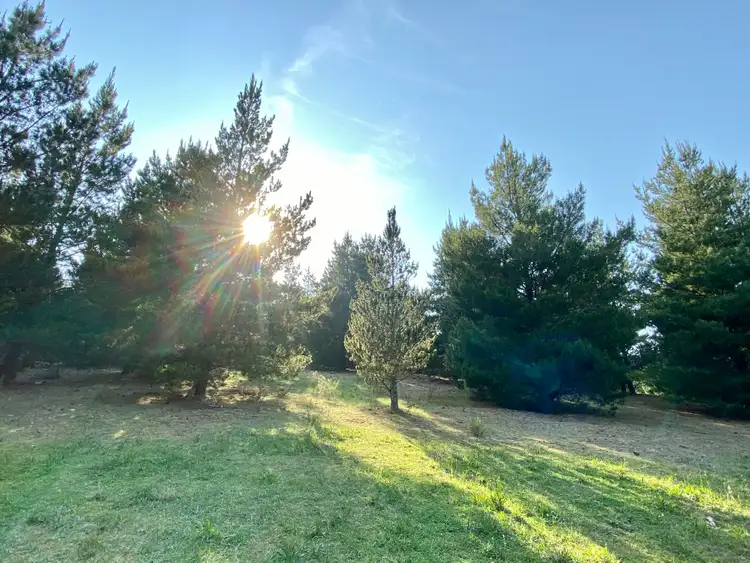 Seventh view of Homely rural property listing, 850 O'Connell Road, Oberon NSW 2787