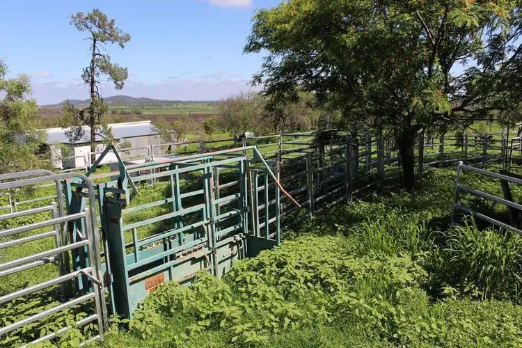 Third view of Homely rural property listing, 2414 Oakey-Pittsworth Road, Mount Tyson QLD 4356