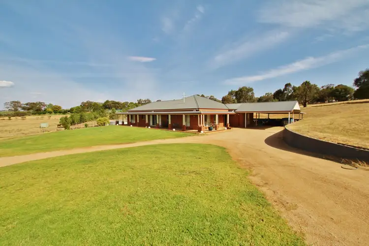 109 Kellys Road, Young NSW 2594