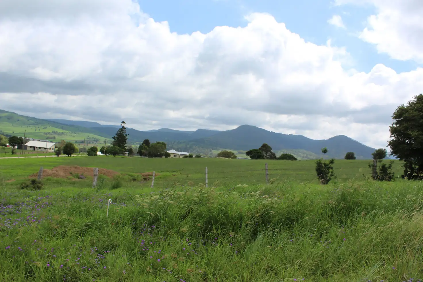 Main view of Homely land listing, Lots 12,13,14 Rose Street, Killarney QLD 4373