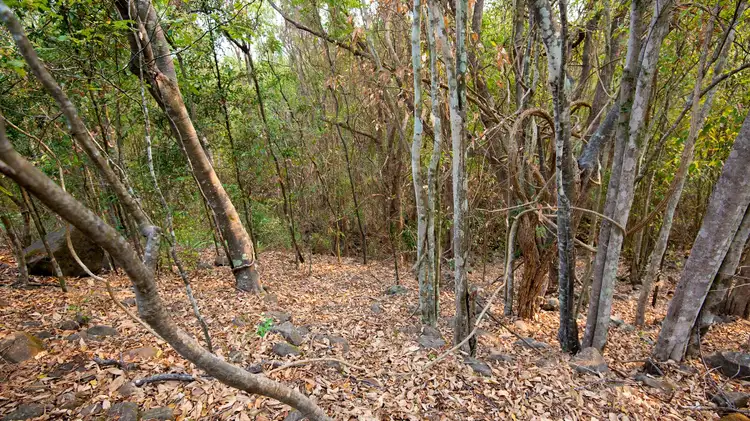 Second view of Homely land listing, 91 Mountain View Drive, Goonellabah NSW 2480