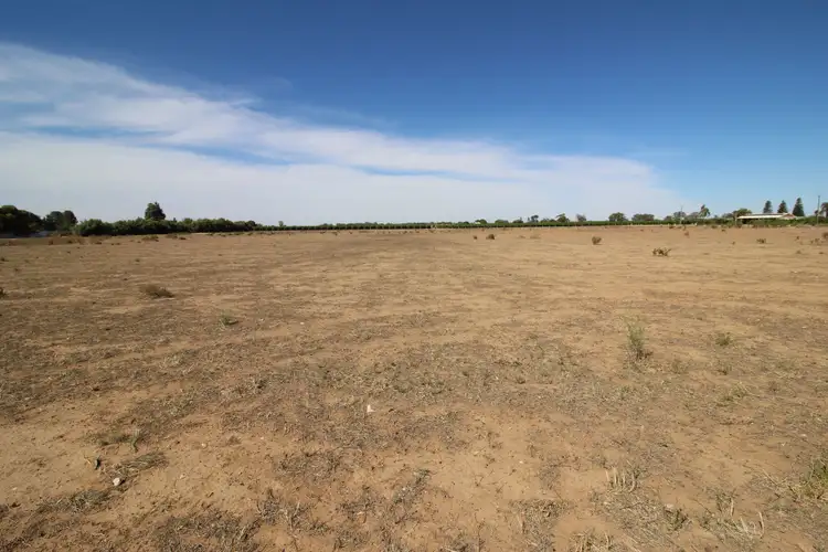 Third view of Homely rural property listing, Lot 1 Seventh Street, Renmark SA 5341